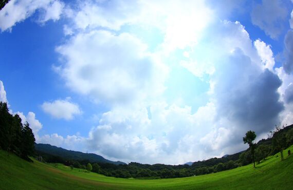 こんにちわ東川口耳つぼダイエットビーネの中岡です。